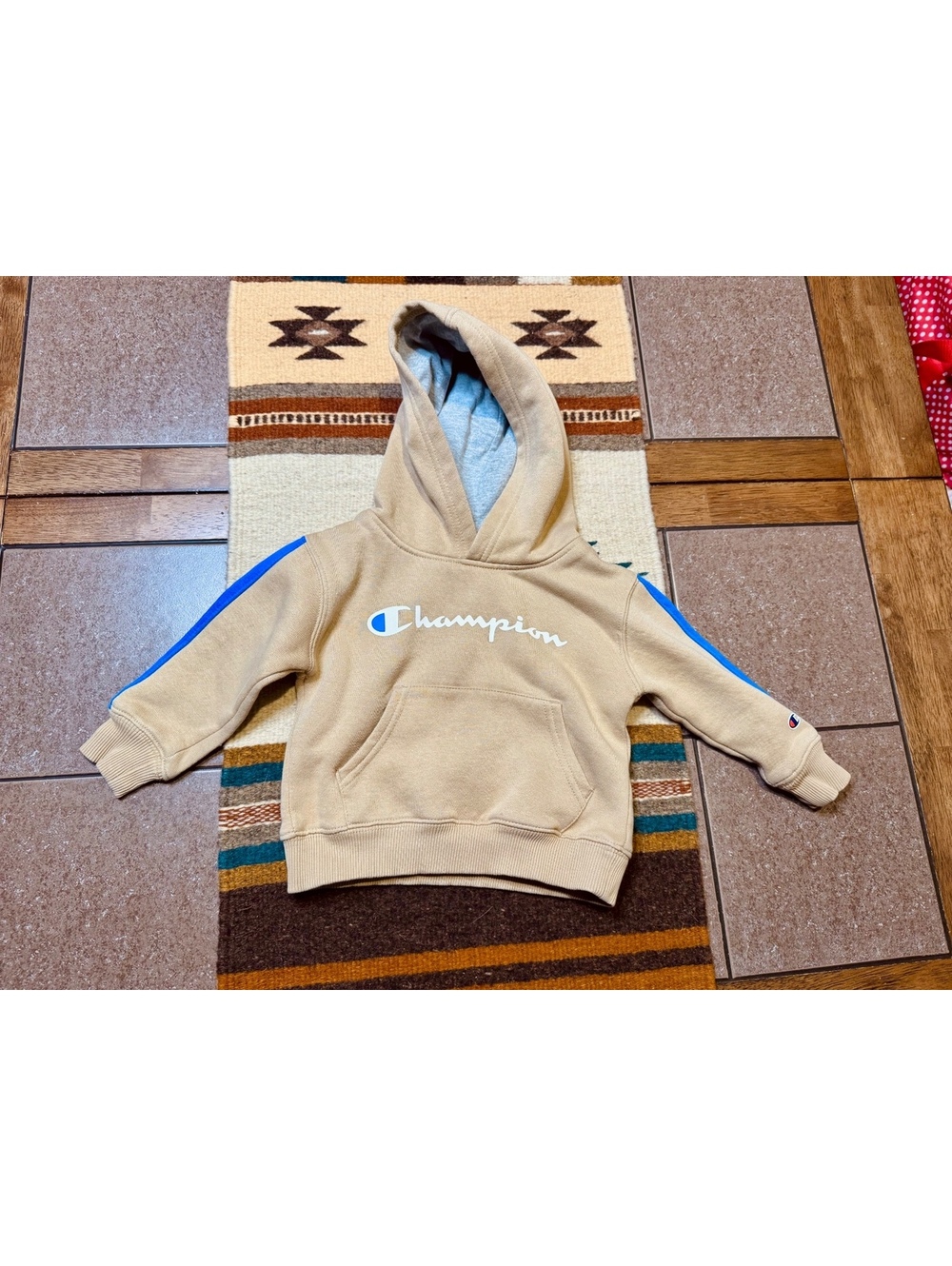 2T champion hoodie